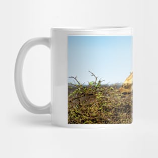 Acacia Tabletop Mug